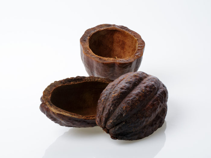 Cascaras_Cacao